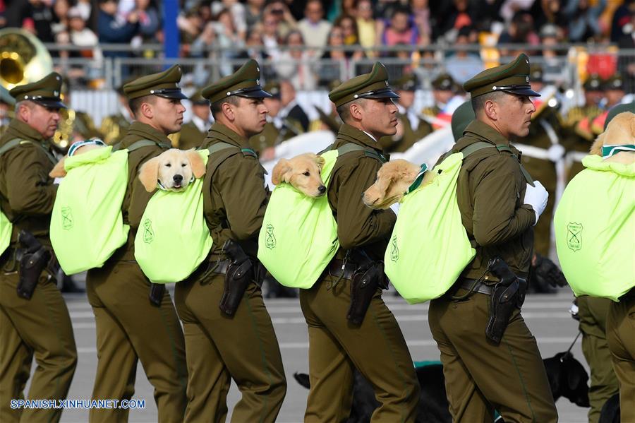 Integrantes del cuerpo de Carabineros de Chile cargan perros durante la tradicional parada militar, en el Parque O'Higgins, en Santiago, capital de Chile, el 19 de septiembre de 2019. El debut de la Policía de Investigaciones de Chile y la participación de un histórico contingente de mujeres destacaron el jueves en la tradicional parada militar, un desfile que conmemora el Día de las Glorias del Ejército chileno. (Xinhua/Jorge Villegas)