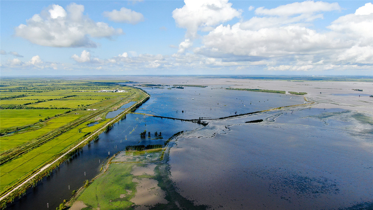 Una foto aérea muestra el paisaje oto?al en la reserva natural de Momoge en el pueblo de Zhenlai, provincia de Jilin, noreste de China. (Foto: chinadaily.com.cn/Zhao Lengbing)