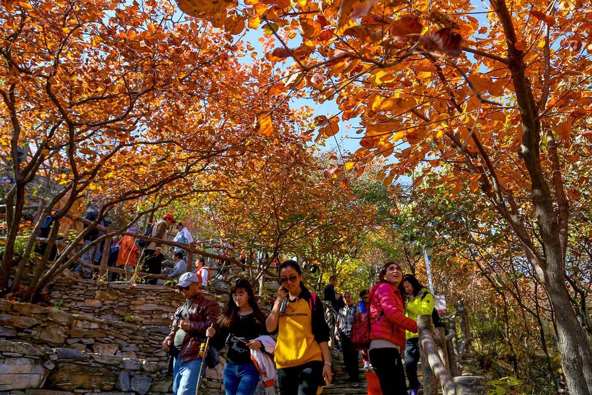 Paisaje oto?al en Beijing, China. (Fotos: chinadaily.com.cn)