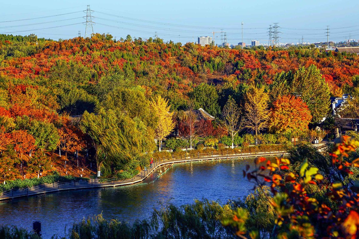 Paisaje oto?al en Beijing, China. (Fotos: chinadaily.com.cn)