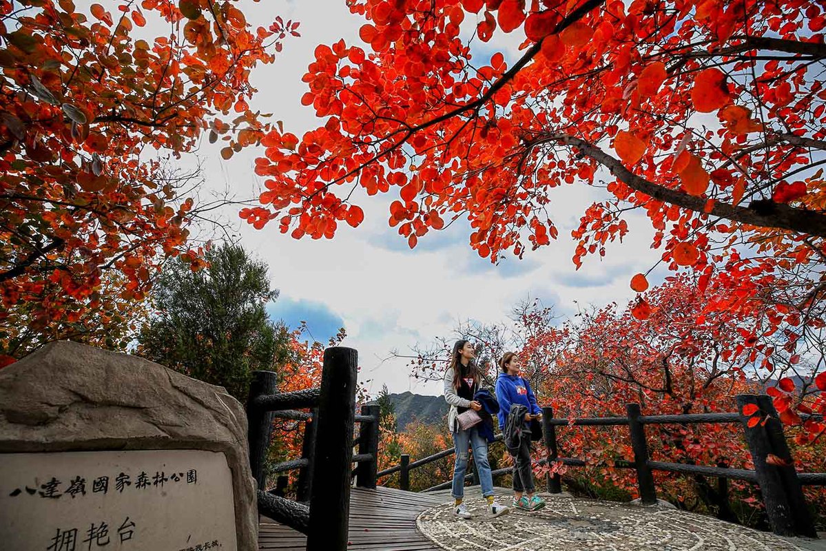 Paisaje oto?al en Beijing, China. (Fotos: chinadaily.com.cn)