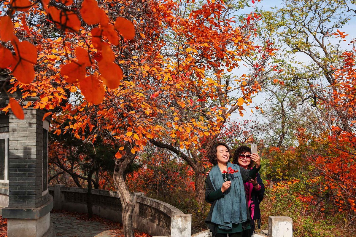 Paisaje oto?al en Beijing, China. (Fotos: chinadaily.com.cn)