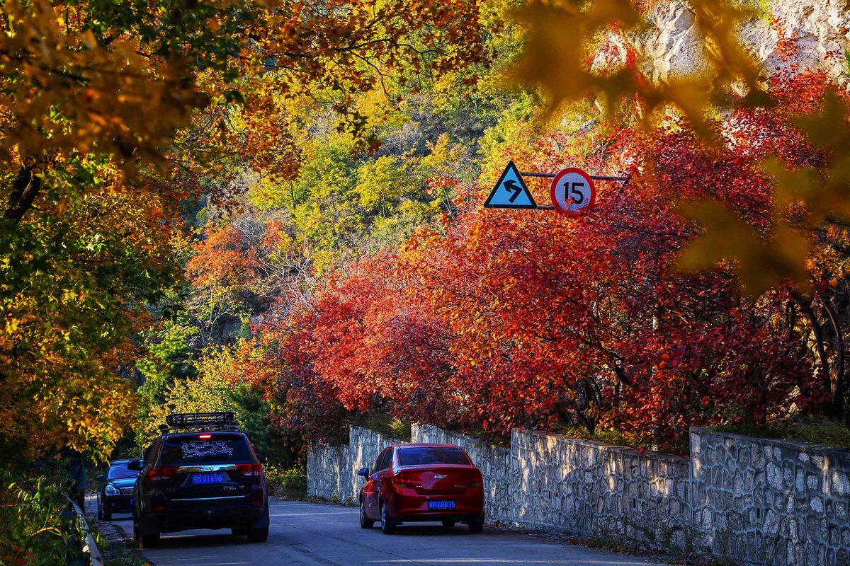 Paisaje oto?al en Beijing, China. (Fotos: chinadaily.com.cn)