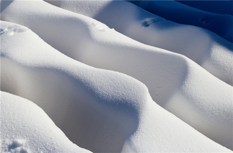 La nieve brilla bajo la luz matinal.  (Fotos: Chen Chunzhi/para chinadaily.com.cn)