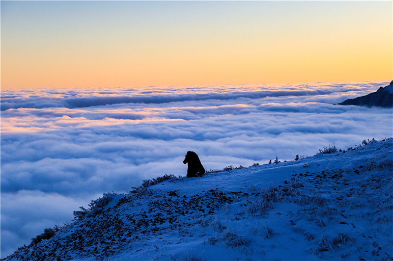 Una monta?a cubierta de nieve y mares de nubes.  (Fotos: Chen Chunzhi/para chinadaily.com.cn)