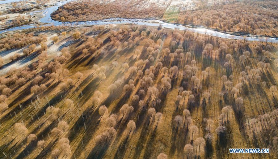 Paisaje a lo largo del río Yarlung Zangbo en el Tíbet