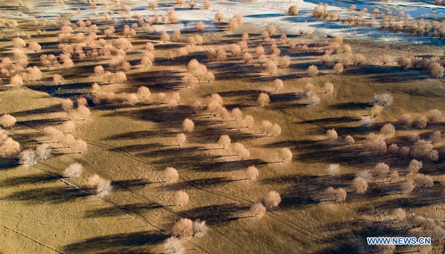 Paisaje a lo largo del río Yarlung Zangbo en el Tíbet