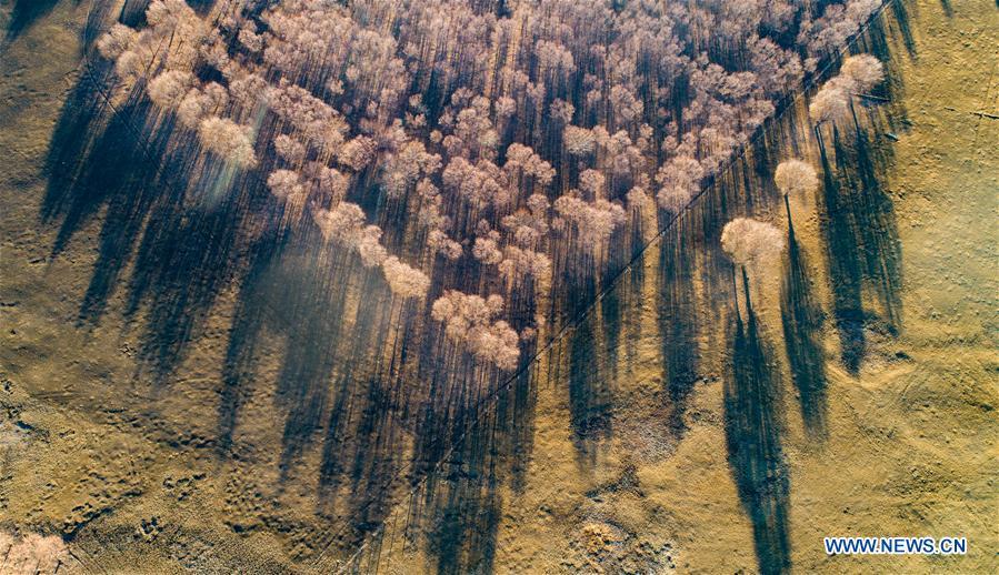 Paisaje a lo largo del río Yarlung Zangbo en el Tíbet