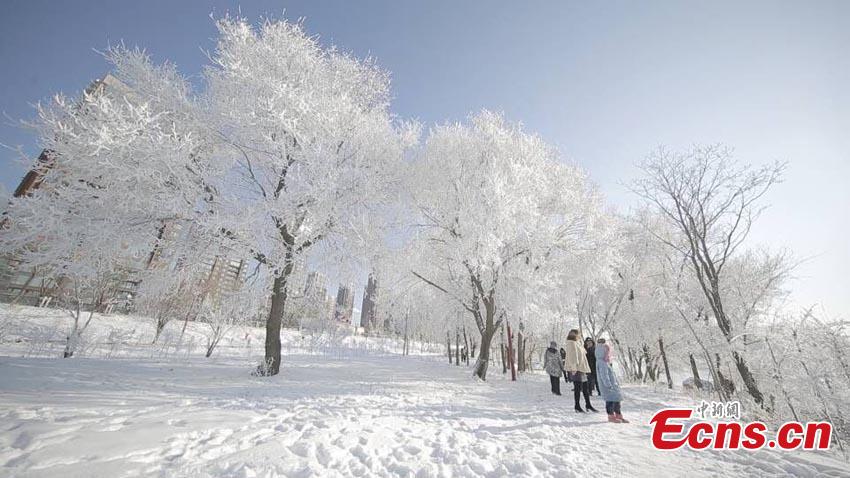 Paisaje de escarcha y ensue?o en Jilin