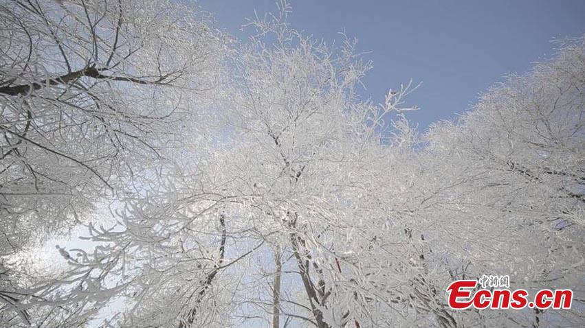 Paisaje de escarcha y ensue?o en Jilin