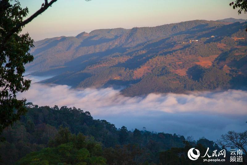 Impresionante mar de nubes sobre la monta?a Jingmai en Yunnan