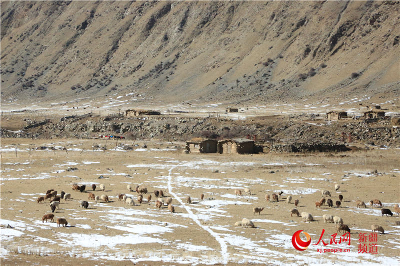 La nieve cubre la pradera de Zhaosu ofreciendo una imagen impresionante 