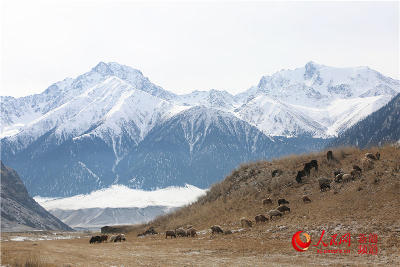 La nieve cubre la pradera de Zhaosu ofreciendo una imagen impresionante 