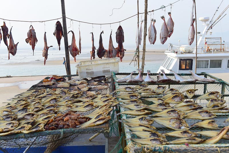 Imagen de pescado salado seco en la entrada de una tienda en el vecindario Wanggezhuang de Qingdao, en la provincia de Shandong, este de China. Se trata de una estampa típica del duodécimo mes del calendario lunar chino, conocido como layue en chino. [Fotos de Wang Hua / para chinadaily.com.cn]