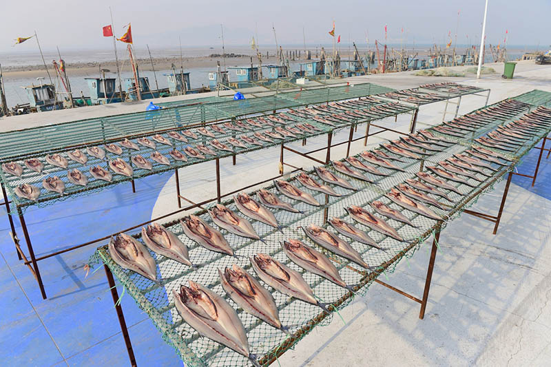 Imagen de pescado salado seco en la entrada de una tienda en el vecindario Wanggezhuang de Qingdao, en la provincia de Shandong, este de China. Se trata de una estampa típica del duodécimo mes del calendario lunar chino, conocido como layue en chino. [Fotos de Wang Hua / para chinadaily.com.cn]