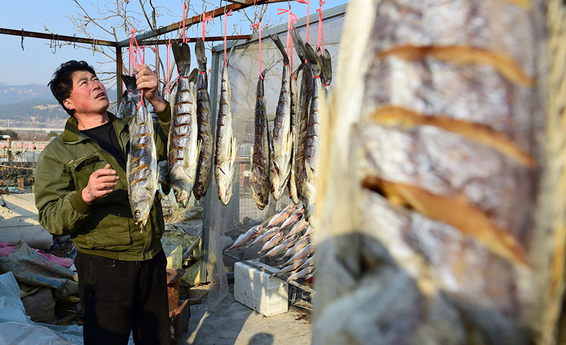 Imagen de pescado salado seco en la entrada de una tienda en el vecindario Wanggezhuang de Qingdao, en la provincia de Shandong, este de China. Se trata de una estampa típica del duodécimo mes del calendario lunar chino, conocido como layue en chino. [Fotos de Wang Hua / para chinadaily.com.cn]