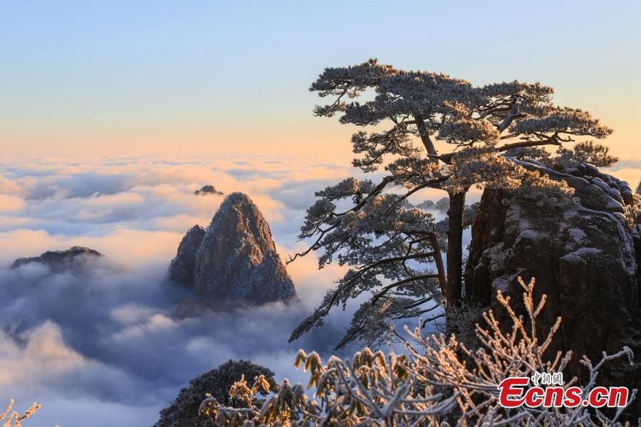 Paisaje de escarcha en la monta?a Huangshan