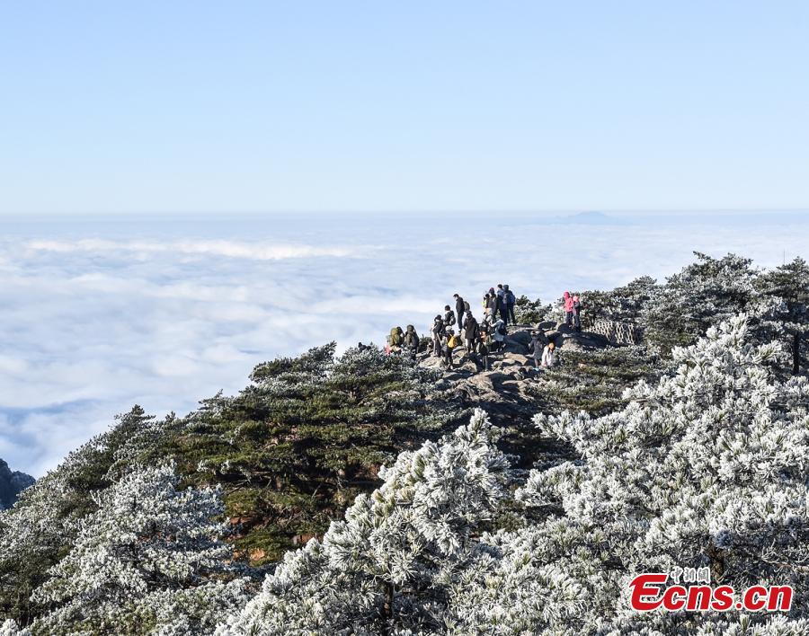 Paisaje de escarcha en la monta?a Huangshan