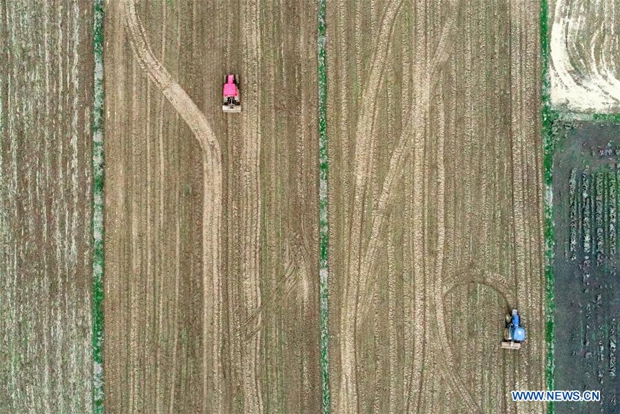 Agricultores manejan maquinaria agrícola para arar la tierra en una granja en Jiangxi