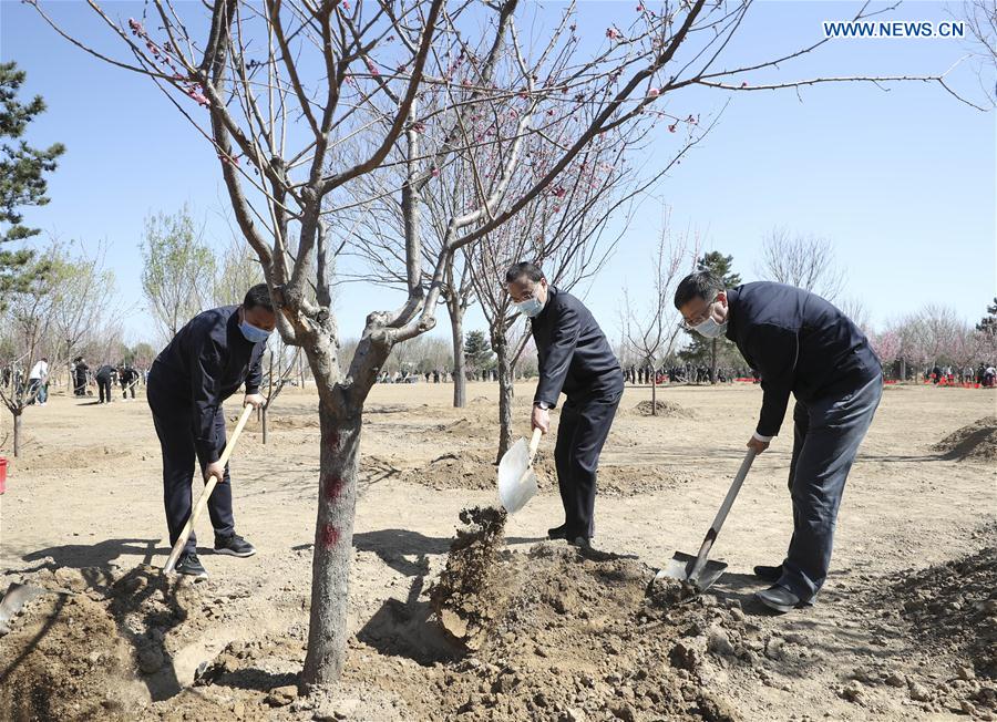 (Xinhua/Ding Haitao)