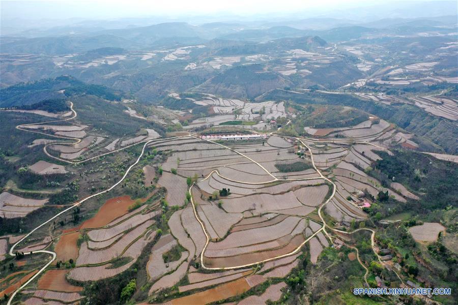 Henan: Campos en terrazas en Sanmenxia