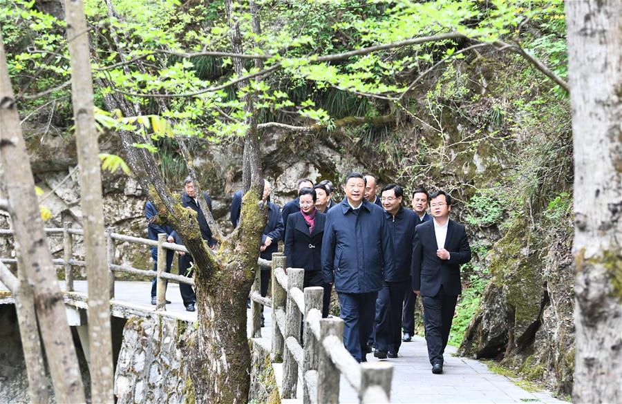 SHANGLUO, 20 abril, 2020 (Xinhua) -- El presidente chino, Xi Jinping, también secretario general del Comité Central del Partido Comunista de China y presidente de la Comisión Militar Central, inspecciona la conservación ecológica de las Monta?as Qinling en la Reserva Natural Nacional de Niubeiliang en el distrito de Zhashui, en la ciudad de Shangluo, en la provincia de Shaanxi, en el noroeste de China, el 20 de abril de 2020. (Xinhua/Xie Huanchi)