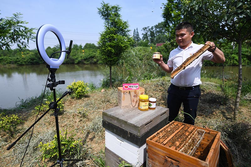 El apicultor Qiu Kai, a través de una transmisión en vivo vía Internet, promueve sus productos apícolas. Lincheng, Changxing, Zhejiang, 20 de mayo del 2020. [Foto: Xinhua]