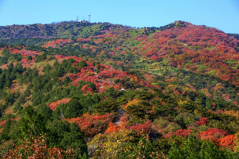 Colores cambiantes del oto?o en Beijing. [Foto: He Jianyong/ Chinadaily]