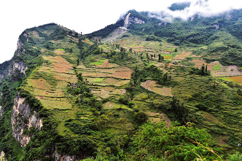 Los residentes de la “aldea del acantilado” viven en el área de ladera cerca de las crestas y dependen del cultivo y la ganadería para ganarse la vida. Han estado apartados del mundo durante generaciones. (Foto: Rao Guojun/ Pueblo en Línea)