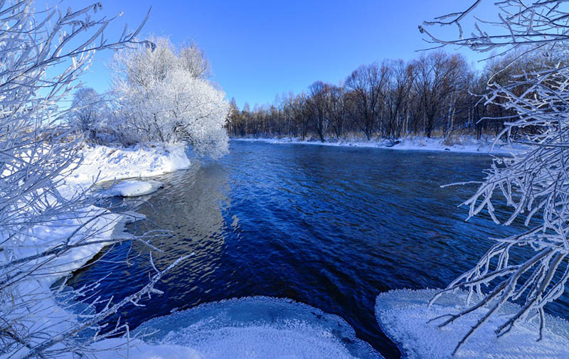 Las temperaturas caen por debajo de -20 grados centígrados en el condado Xunke, provincia de Heilongjiang, congelándolo todo a lo largo del río Kurbin. [Foto: Wang Dianjie/ China Daily]