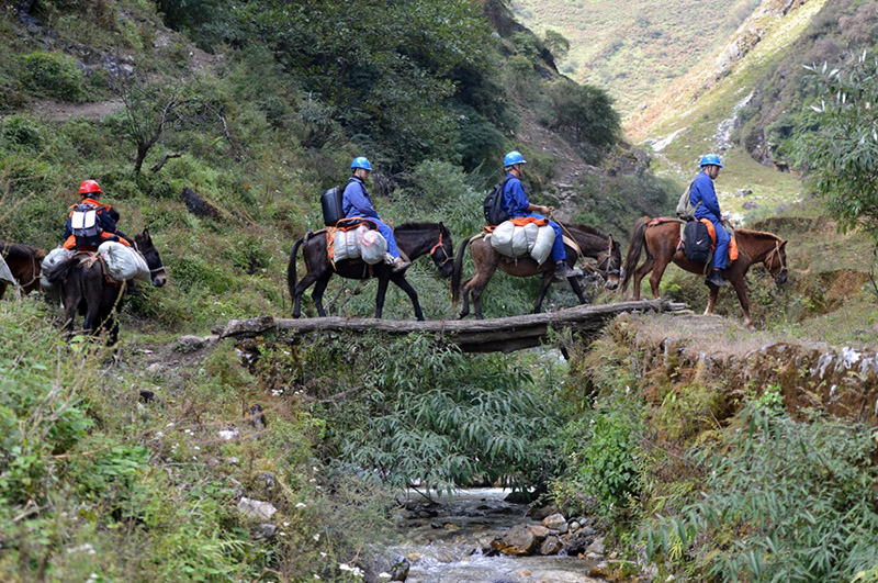 Los reparadores inspeccionan a caballo las líneas de transmisión de energía. SERVICIO DE NOTICIAS DE CHINA / ZHANG LANG