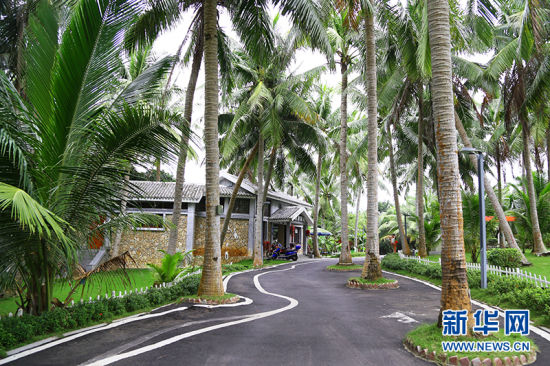 La foto muestra una carretera en la aldea Haosheng, ciudad de Wenchang, provincia de Hainan en el sur de China. (Xinhua / Wang Wenjun)