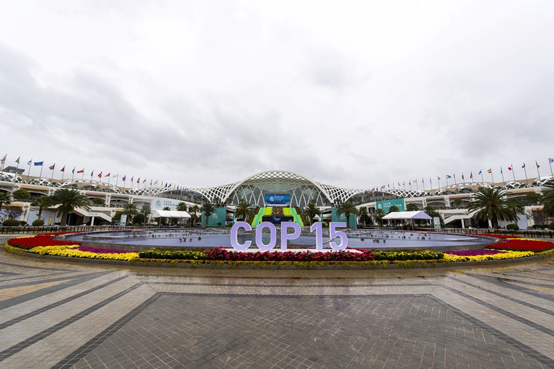 El 11 de octubre de 2021, comenzó la 15a Reunión de la Conferencia de las Partes (COP15) en el Convenio sobre la Diversidad Biológica de las Naciones Unidas en Kunming, Yunnan, la "Ciudad de la Primavera". Weng Qiyu / Pueblo en Línea