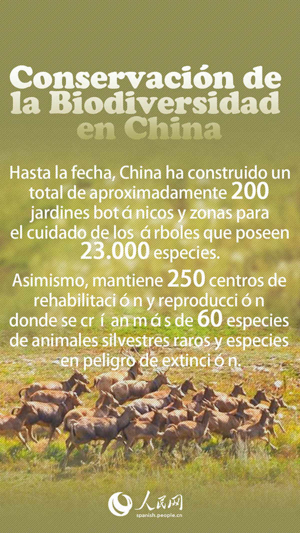 Conservación de la Biodiversidad en China