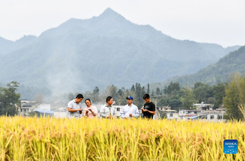 (Foto: Xinhua/ Yang Wenbin)