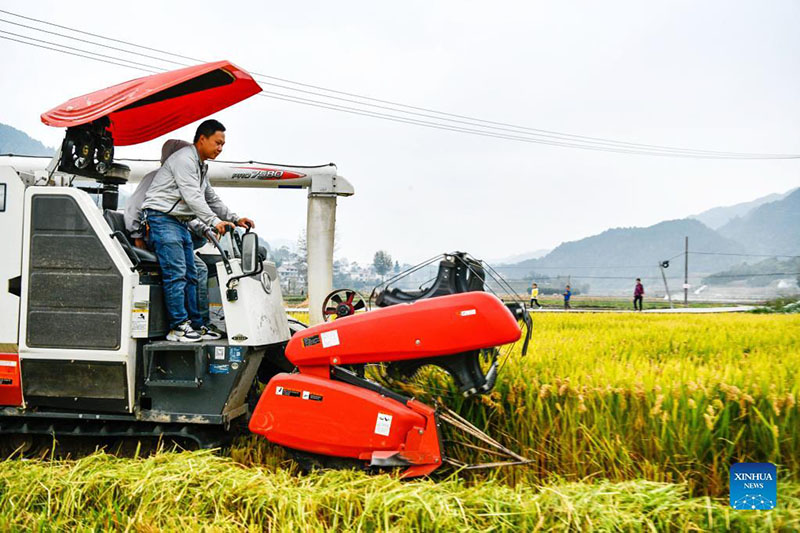 (Foto: Xinhua/ Yang Wenbin)