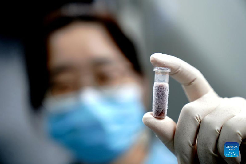 Una investigadora presenta una muestra genética de un tigre del sur de China del zoológico de Shanghai, 11 de octubre del 2021.  (Foto: Xinhua/ Zhang Jiansong)