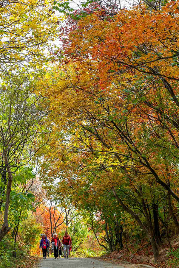 Beijing ofrece su caleidoscopio de colores oto?ales 