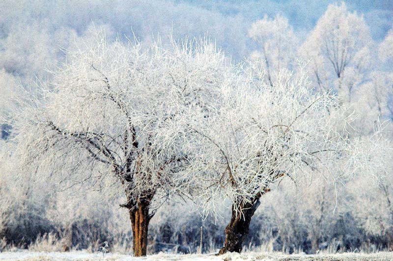 El valle del río Ergune registra su primera escarcha de esta temporada