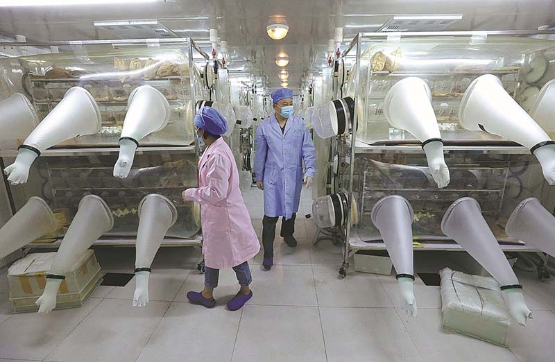 Los cuidadores de animales trabajan en una sala de reproducción para ratones en la base de cultivo el 13 de agosto [ZHU XINGXIN / CHINA DAILY]