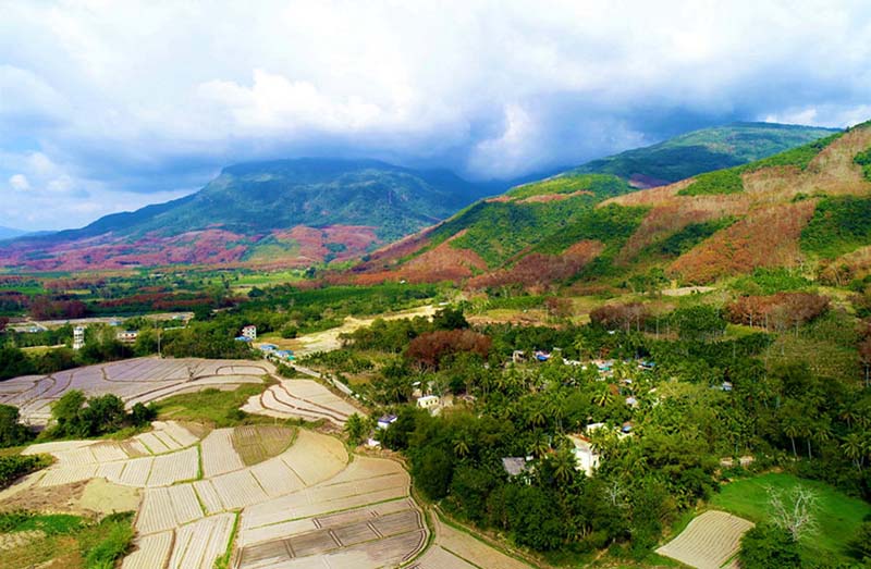 La foto muestra casas de estancias compartidas en el municipio de Wanchong, ciudad de Wanning, en la provincia de Hainan. (Foto cortesía del Departamento de Publicidad del Condado Autónomo Li de Ledong)