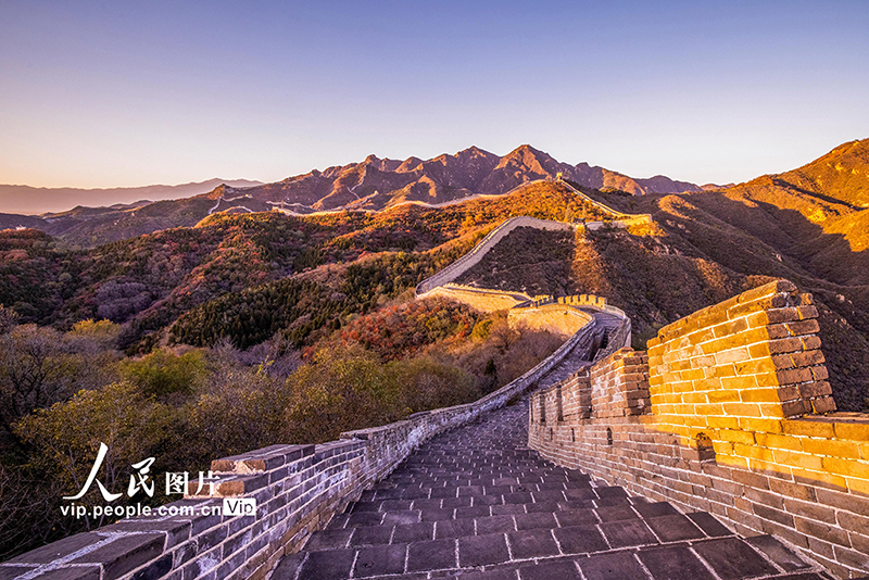 Beijing: las monta?as de la Gran Muralla de Badaling se vuelven rojas