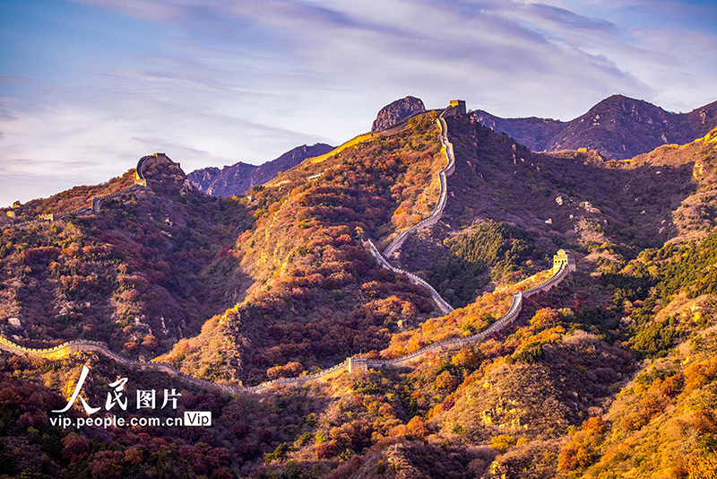 Beijing: las monta?as de la Gran Muralla de Badaling se vuelven rojas