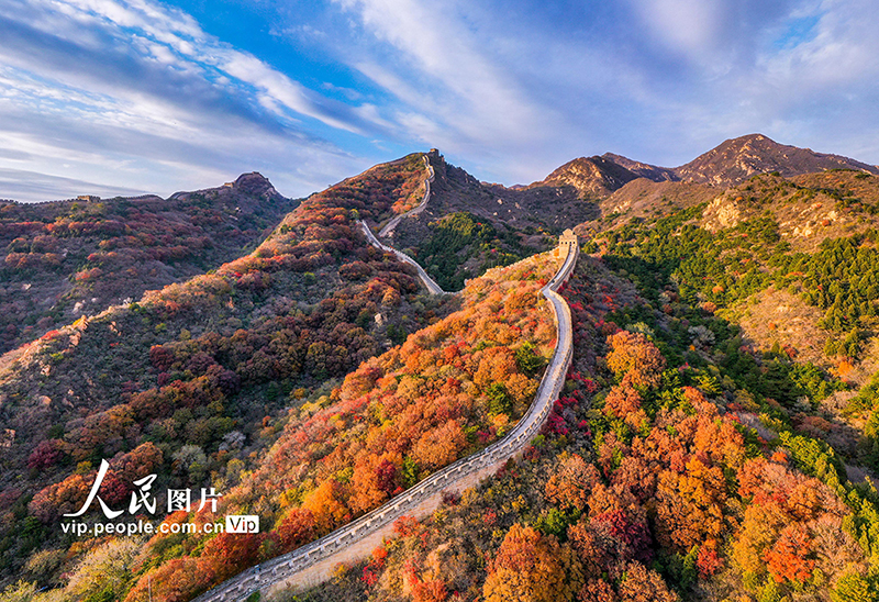 Beijing: las monta?as de la Gran Muralla de Badaling se vuelven rojas