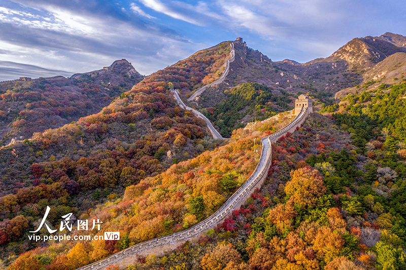 Beijing: las monta?as de la Gran Muralla de Badaling se vuelven rojas