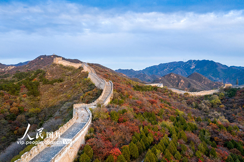 Beijing: las monta?as de la Gran Muralla de Badaling se vuelven rojas