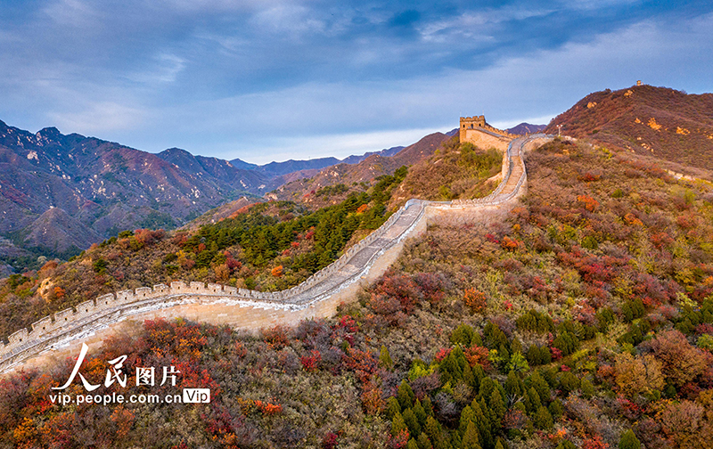 Beijing: las monta?as de la Gran Muralla de Badaling se vuelven rojas