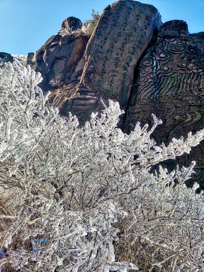 Una capa de hielo cubre los bosques de Qingdao