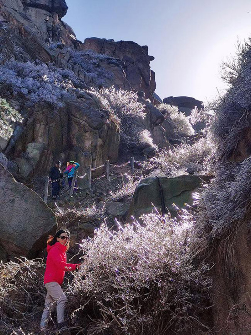 Una capa de hielo cubre los bosques de Qingdao