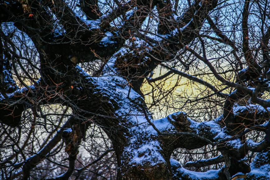 El lugar escénico de la monta?a Yuntai en Jiaozuo, provincia de Henan, en el centro de China, quedó cubierto por la primera nevada de la temporada, ofreciendo una magnífica estampa similar a una pintura de paisaje. (Foto / Wu Peimeng)